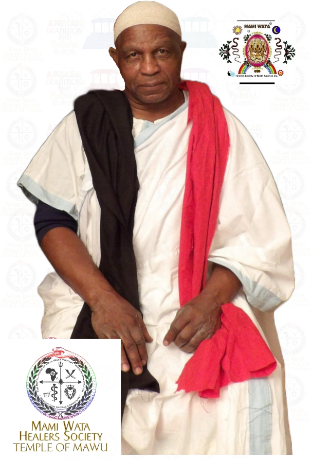 Papa Adjakpassis